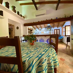 Appartement Puerto De Pollensa And Apartments, With Private Mountain Ideal For Runners, Trailers,near Approximately 5 Minutes Walking, Unique Experience In A Ullal Old Typical Mallorca House With Private Mountain And Near To The Beac, Port de Pollença